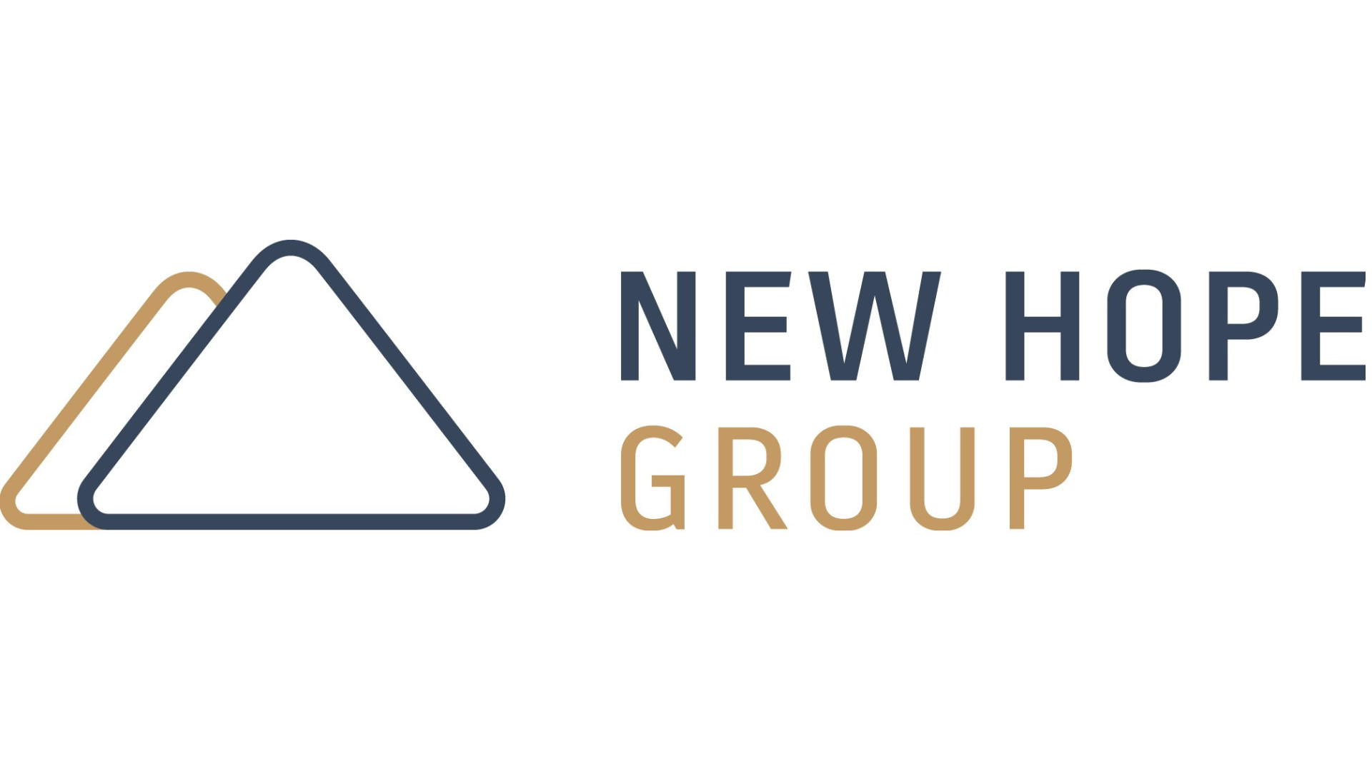 New Hope Group logo