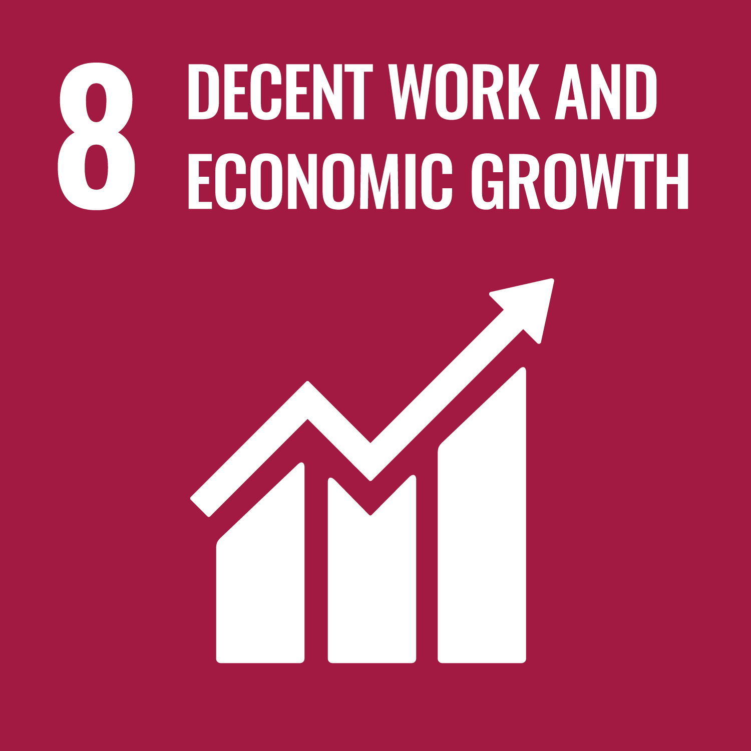 UN SDG Goal 8: Decent Work and Economic Growth
